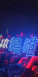 2011D-Link宅客愛地球演唱會